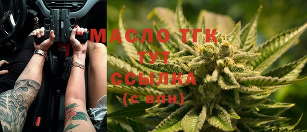крисы Инта