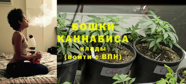 Альфа ПВП Каменногорск