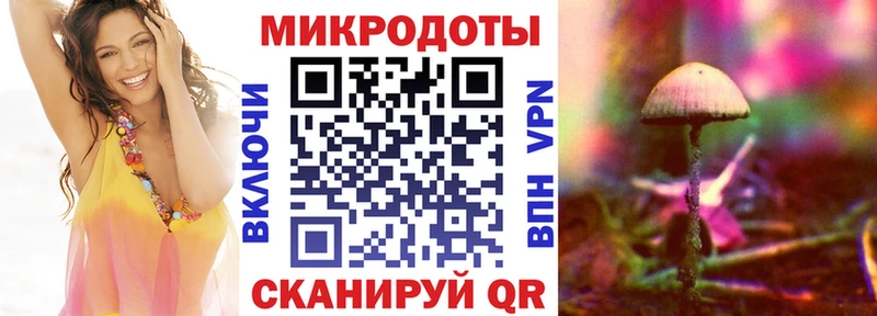 Галлюциногенные грибы Psilocybine cubensis  omg сайт  Княгинино 